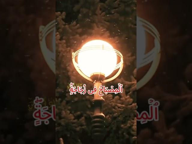 الله نور السموات والأرض مثل نوره كمشكاة فيها مصباح المصباح في زجاجة الزجاجة كأنها كوكب دري