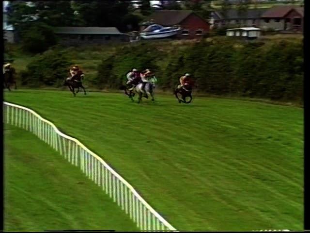 1988 K.P.M.G. Peat Marwick Novice Chase