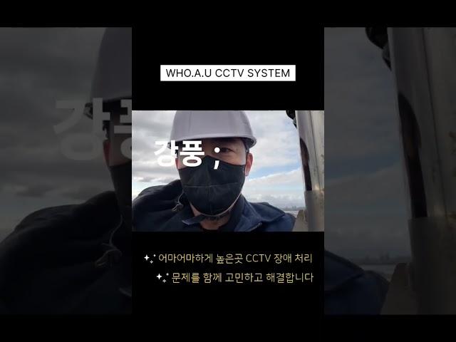 별난 CCTV 설치 장소, 겁없이 올라왔는데..