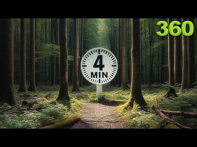 4 Minute | 360 Forest Walk Timer 8K