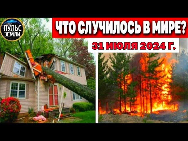 Катаклизмы за день 31.07.2024! Пульс Земли! новости сегодня наводнение ураган град События Дня ЧП