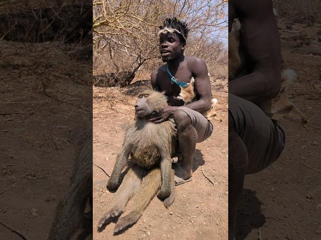 Incredible,,, hadzabe tribe Hunting Baboon Morning