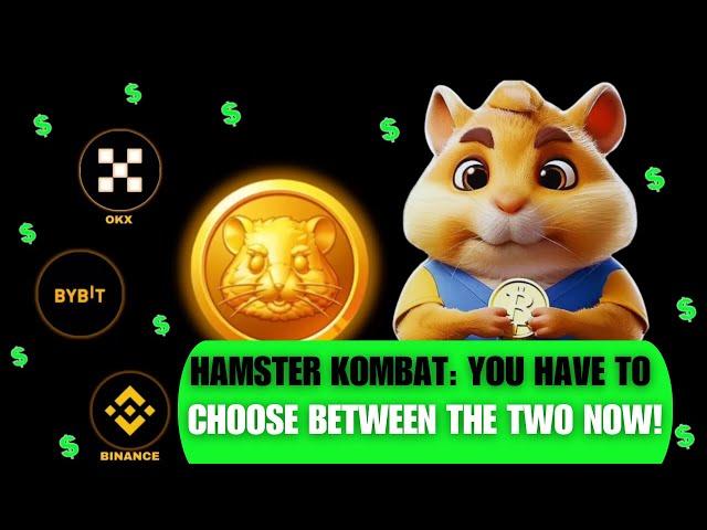  Profit Per Hour vs Coin Balance: Hamster Kombat - Which One Is Better?