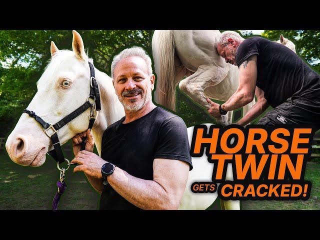 Dr. Doug’s Animal Twin Found at the Farm — The Adjustment Is Unreal!