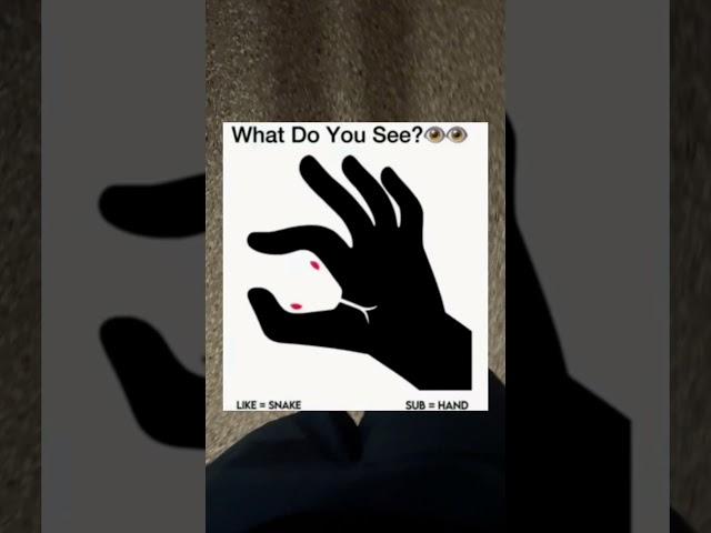 What do you see?
