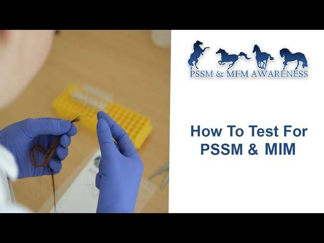 How To Test For PSSM & MIM