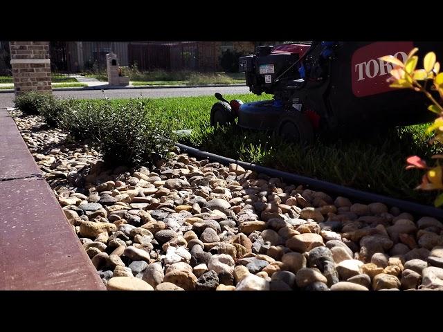 The GREENEST St.Augustine Lawn In South Texas