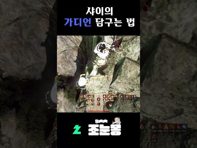 [BDO/검은사막] 샤이... 널 잊지 않겠어...!