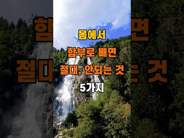'몸에서 함부로 빼내면 안되는 것 5가지'  #명언 #좋은글 #건강 #지혜 #인생조언 #50代  #60代  #70代