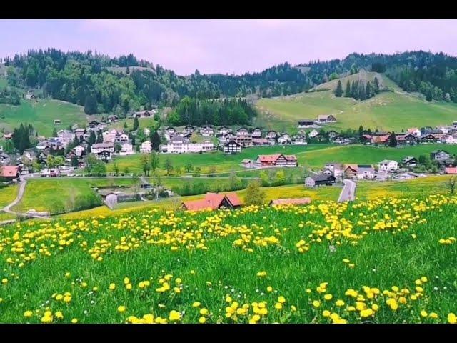 “你就是盛开着的 漫山遍野的温柔”-瑞士小镇风景