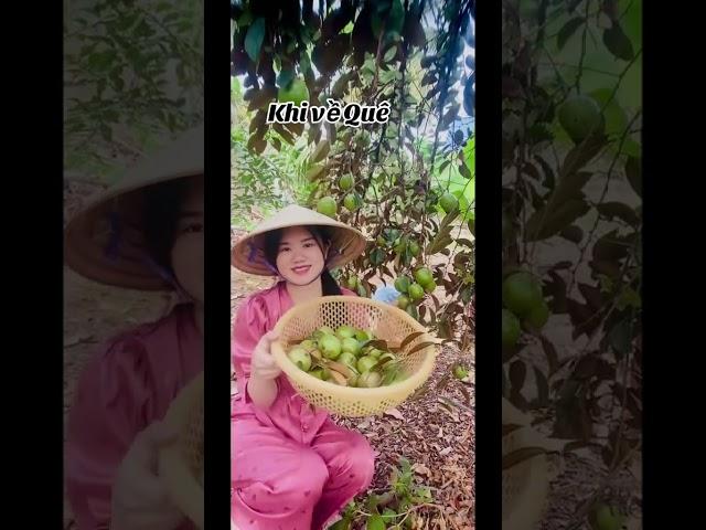 Phim ngắn” Phông bạt nơi Thành Thị”