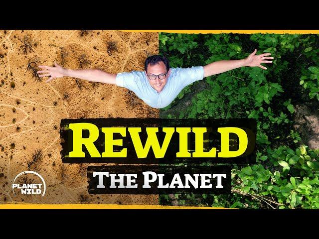 Introducing Planet Wild