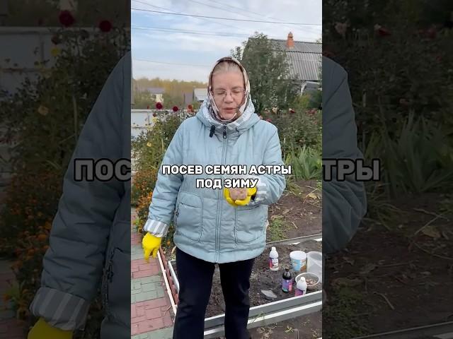 Посев семян астры под зиму  #огород #сад #цветы #садовод #дача #садоводство #удобрение #удобрения