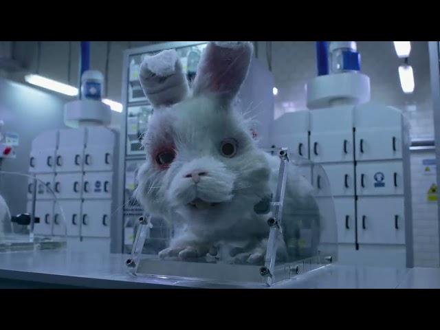이걸 보고도 실험용 토끼 괜찮다고 생각할까요? / Humane Society Internationa / Public Interest, NGO
