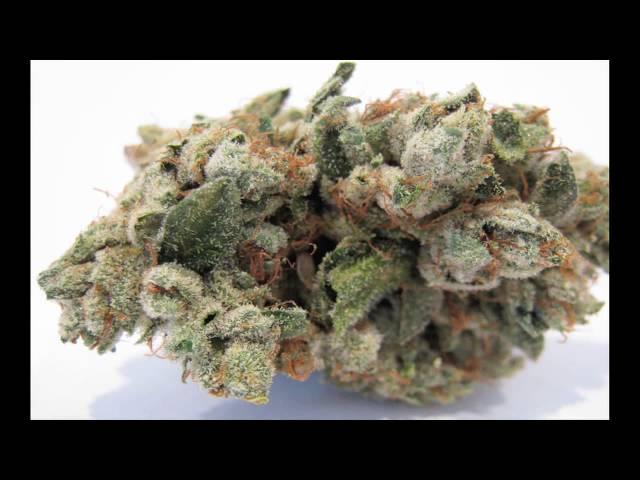 Best OG Kush Medical Marijuana Pictures #1 HD!