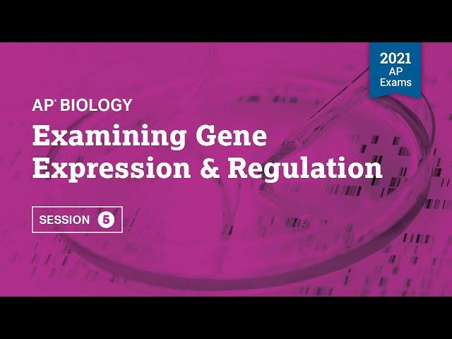 2021 Live Review 5 | AP Biology | Examining Gene Expression & Regulation