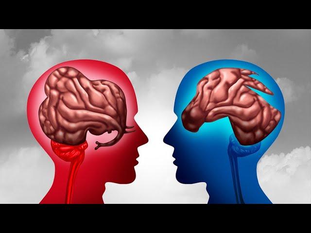 Study: Conservative Have Different Brain Structures