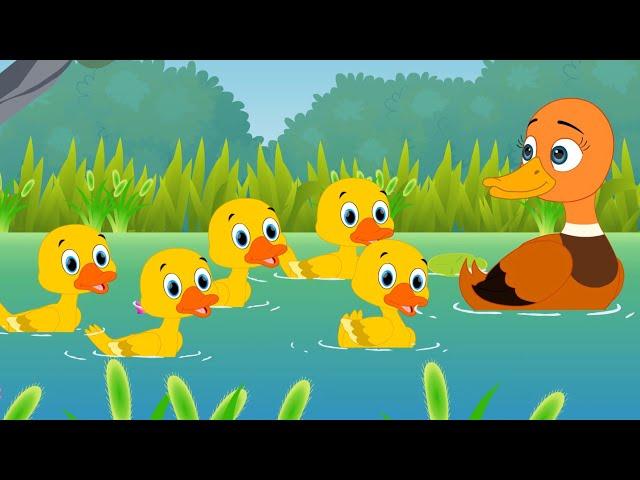 Five Little Ducks - Kids Songs