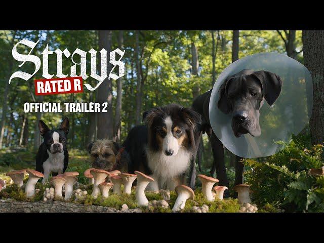 Strays | Official Trailer | IPIC Theaters