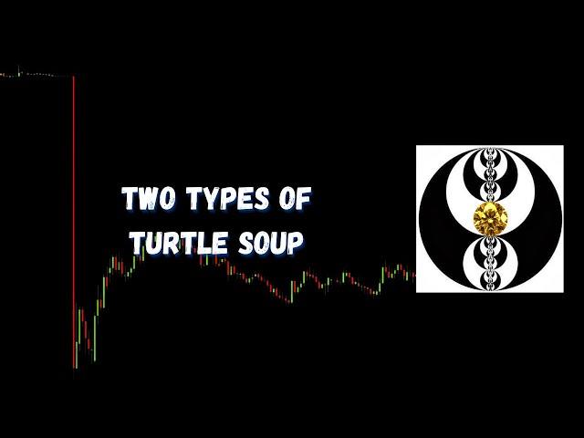 ICT Gems - Two types of Turtle Soup