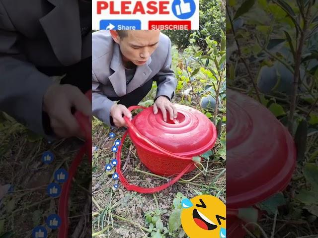 Try Not To Laugh Funny Video #082 #shorts #epicfails #trending