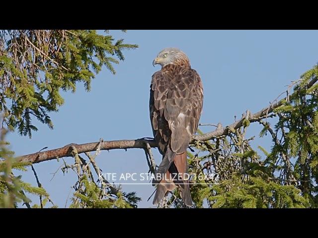 Kite APC Stabilized 16x42 comparaison video.