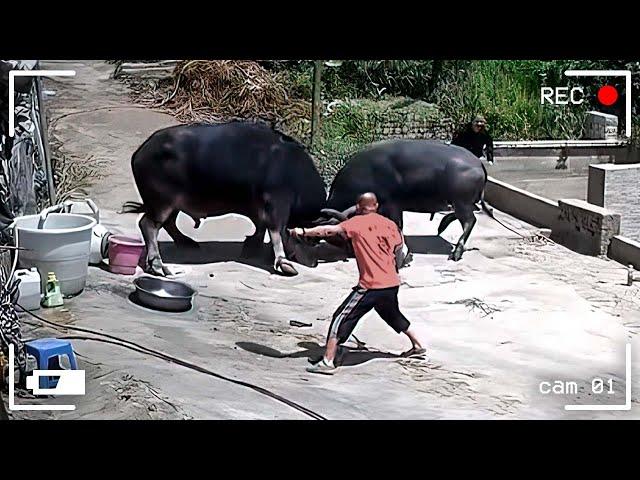 45 Incredible Moments Caught on CCTV Camera