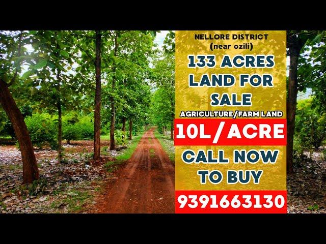 133 acres land for sale in andhrapradesh | land for sale in nellore district