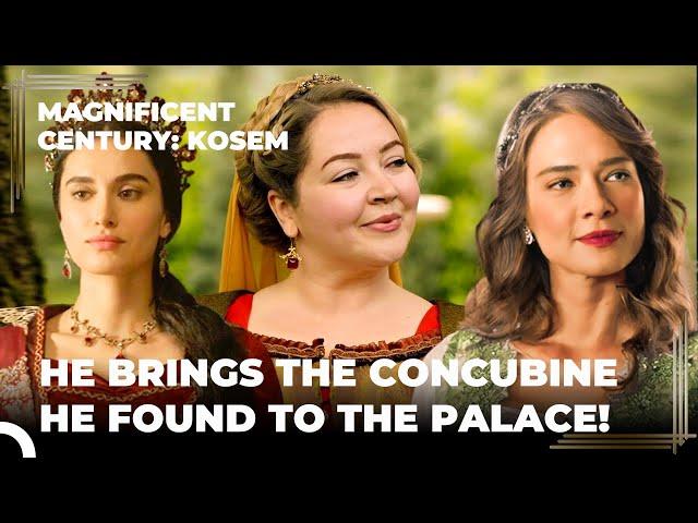 Ibrahim Can't Get Enough Concubines | Magnificent Century Kosem