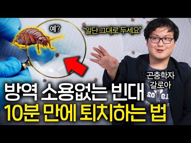 살충제도 끄떡없는 흡혈 빈대 즉시 퇴치하는 법(하루에 알이 수백개...)