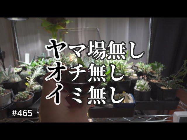 vlog: 465 「ヤマ場無しオチ無し意味無しのvlog | 植物育成ラックメンテナンス」