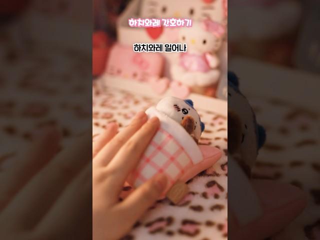 하치와레가 아파요 ⋆｡𖦹 #인형계 #조이님음원