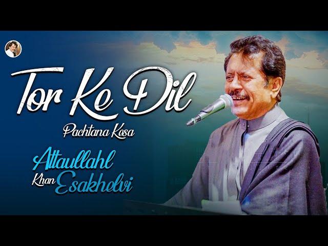 Tor Ke Dil Pachtana Kasa | New Song | Attaullah Khan Esakhelvi