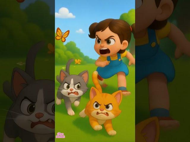 Why is Cat being chased by Luna Belle?#CatChase #LunaBelle #funny #shorts