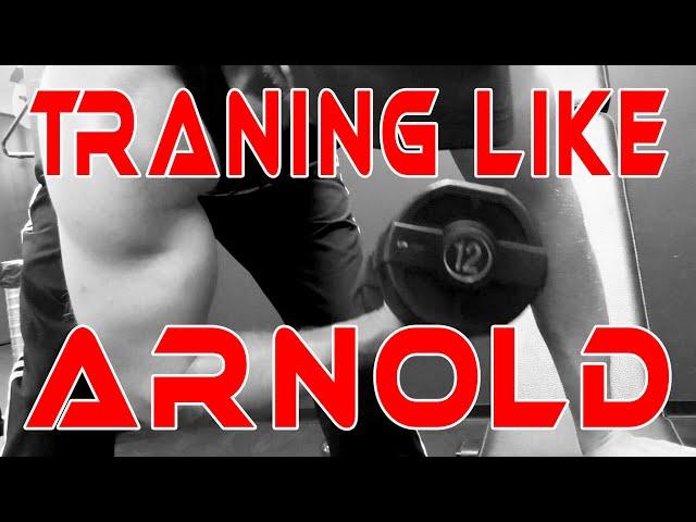 Train as Arnold Schwarzenegger for one day