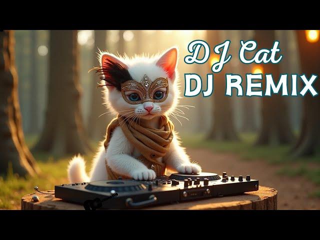 DJ REMIX party SONG 2025 - Remixes & Mashups of Popular Songs 2024 | cat dancer#hotmusically