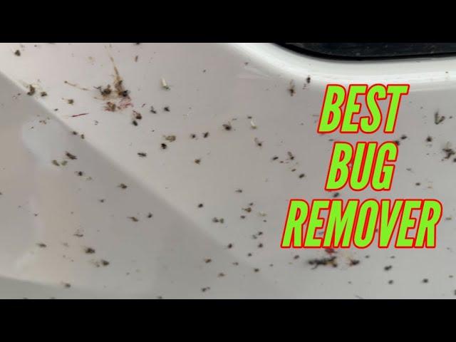 This Stuff MELTS Bugs!!! Best Bug Remover