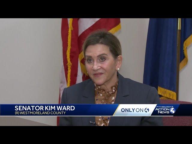 WATCH: One-on-one with State Senate Majority Leader Kim Ward, talks battle with breast cancer