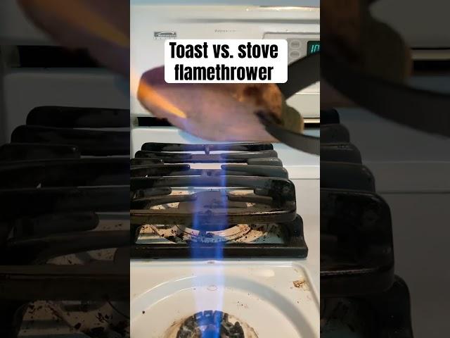 Pyromaniac toasts bread #fire #science #meme #shorts