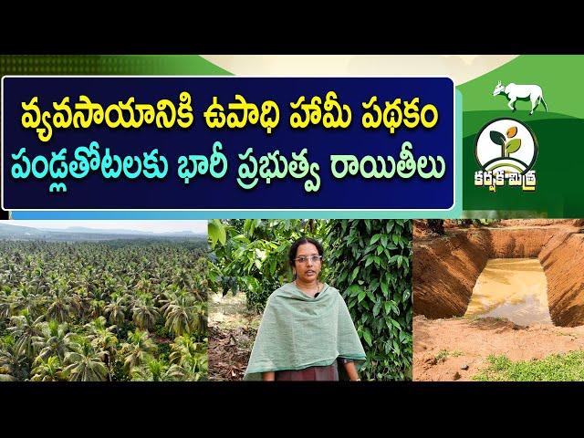 పండ్లతోటలకు భారీ ప్రభుత్వ రాయితీలు || Huge Govt Subsidies for Orchard farmers || Karshaka Mitra