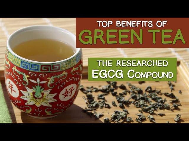 Top GREEN TEA BENEFITS and the Researched EGCG Compound