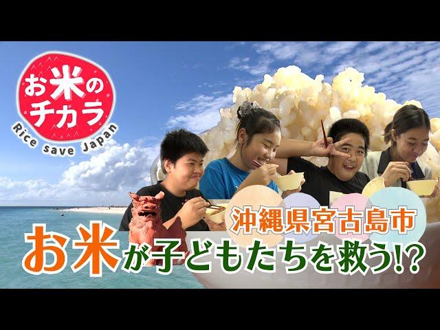 「お米のチカラ ～ Rice save Japan ～」宮古島の取り組み篇