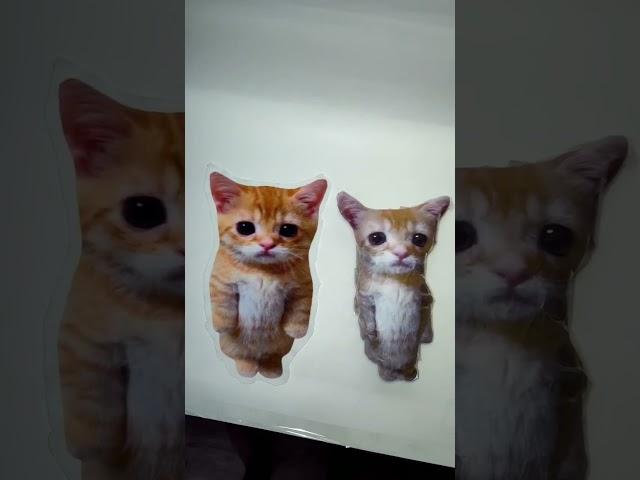 Коты Эльгато скоро в наличии на озон! #эльгато #чмоня #комару #мягкаяигрушка #мемы  #кириллплюш