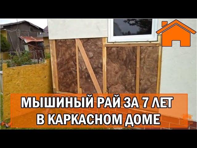 Kd.i: Мышиный рай за 7лет в каркасном доме. Слабонервным не смотреть.