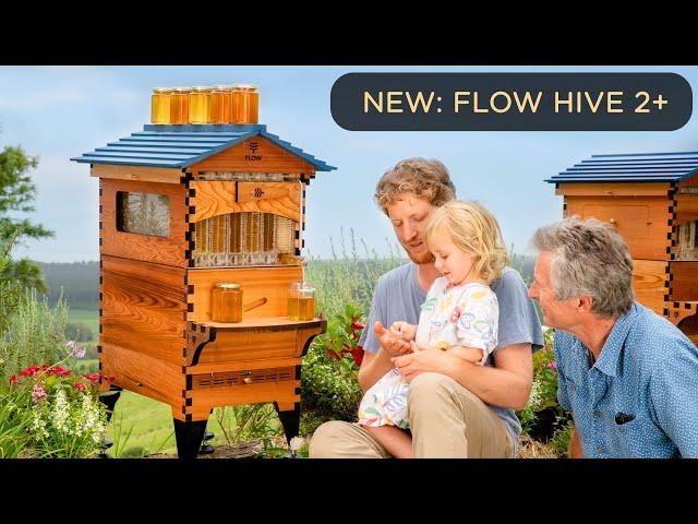 Introducing the Flow Hive 2+ with New Beekeeping Features!