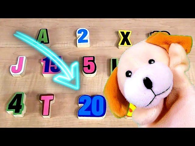 SPEED COUNTING!! A New Counting Game with Excite Dog.