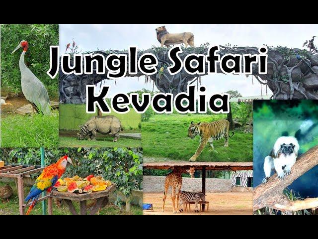 Jungle Safari - Kevadia - Statue of Unity