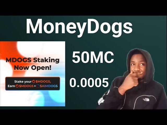 Moneydogs Airdrop Staking Now Open Stake before is too late :buy the dip $50MMC loading ..