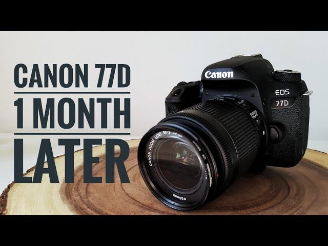 Canon 77D - 1 Month Later (Mini Review)