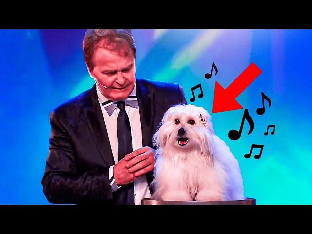 6 Best Singing Dogs EVER On Got Talent! But Which Dog WINS?